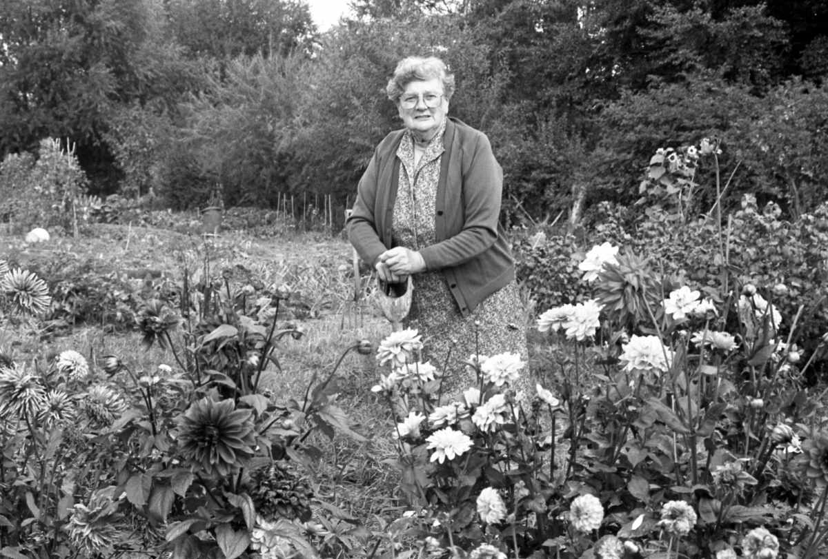 Earthly Paradise: people and landscapes on allotments