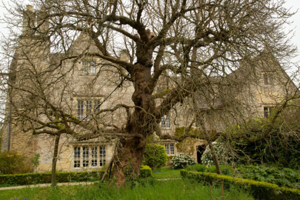 The garden at Kelmscott Manor