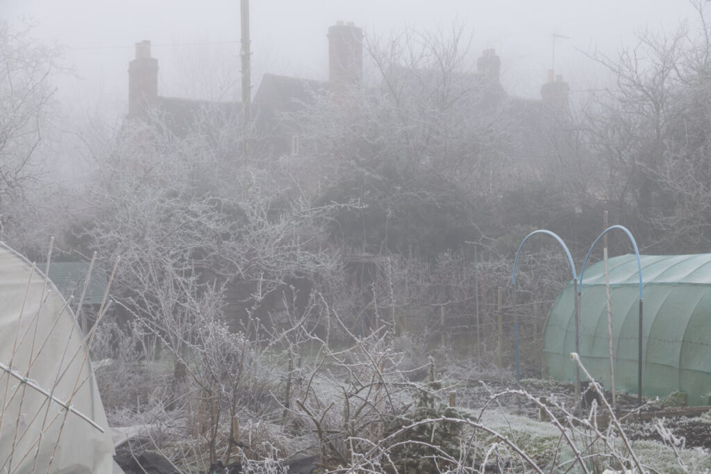 the photo used on the cover of Bartlemas